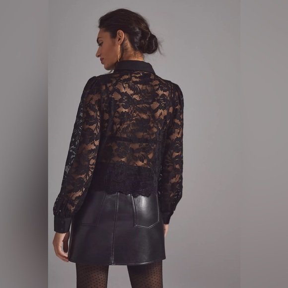 DOLAN Sheer Lace Blouse - Picture 7 of 9